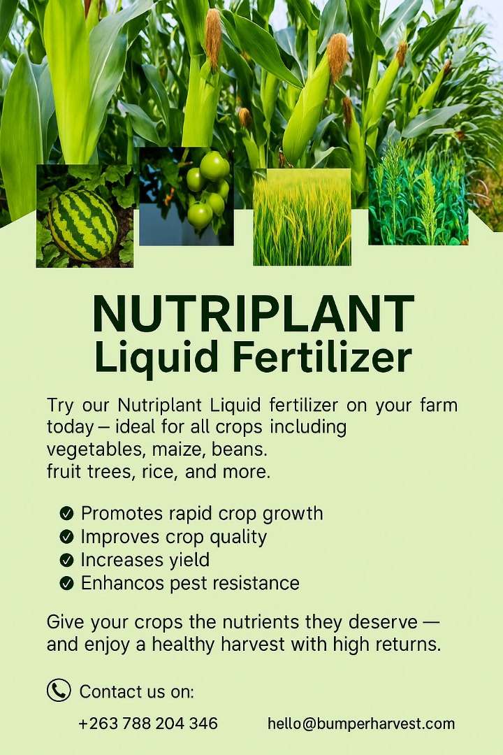 Nutriplant Organic Liquid Fertilizer  group picture