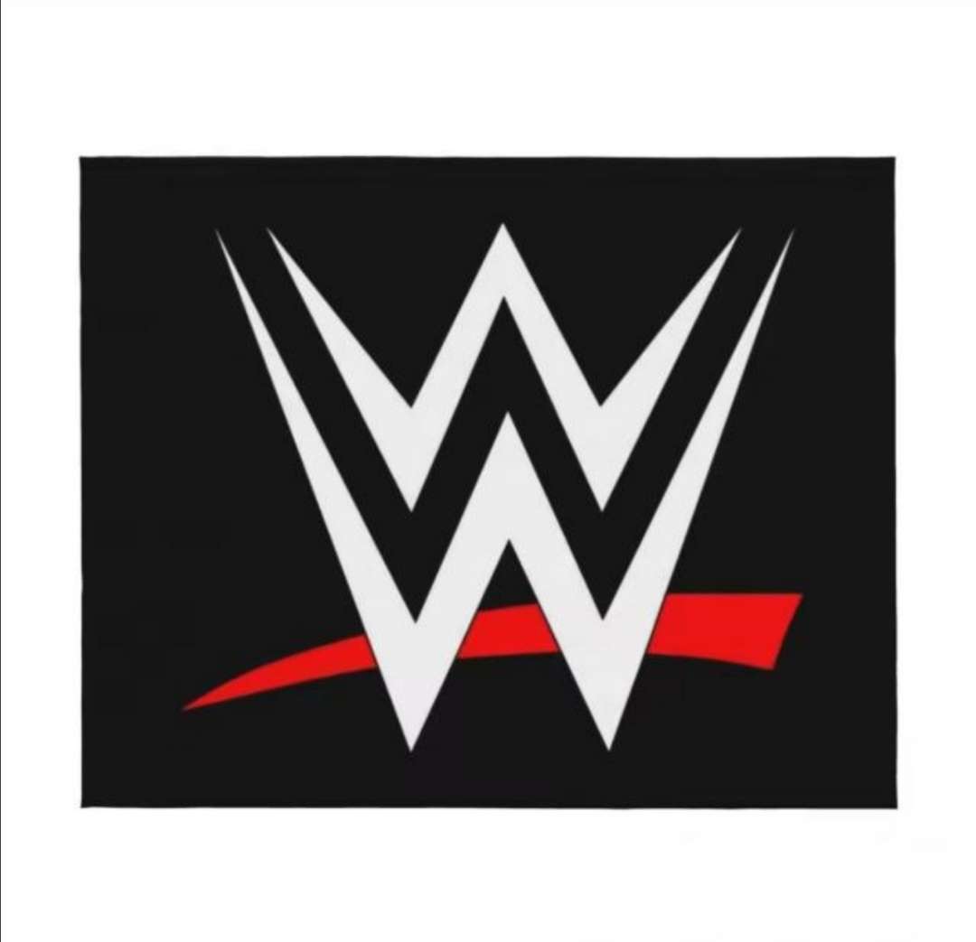 Wwe group picture