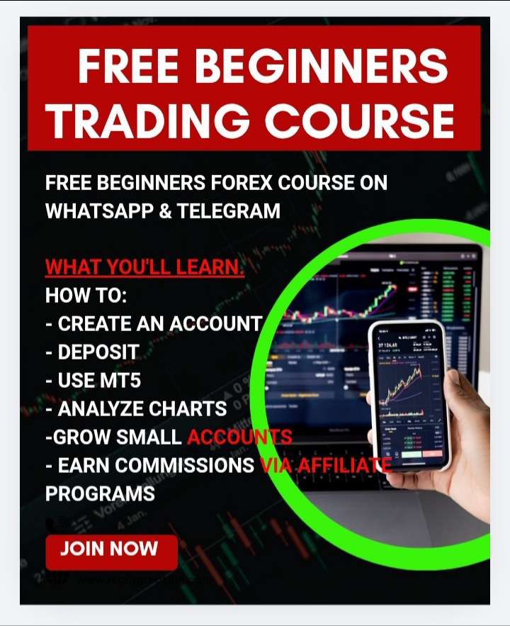 Free Forex Trading Course Beginners Guide. group picture